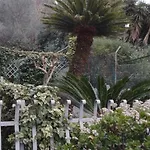 Oasi Felice Levanto