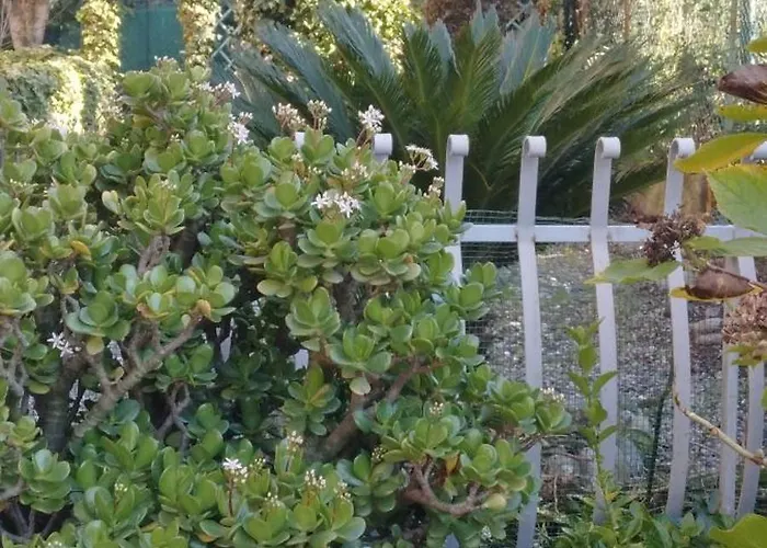 Oasi Felice Apartman Levanto