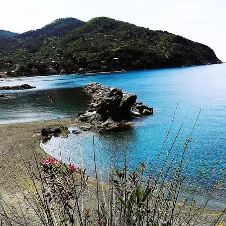 Apartamento Oasi Felice *