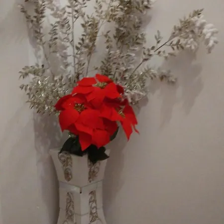 Apartamento Oasi Felice *