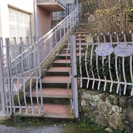 Oasi Felice Apartamento *