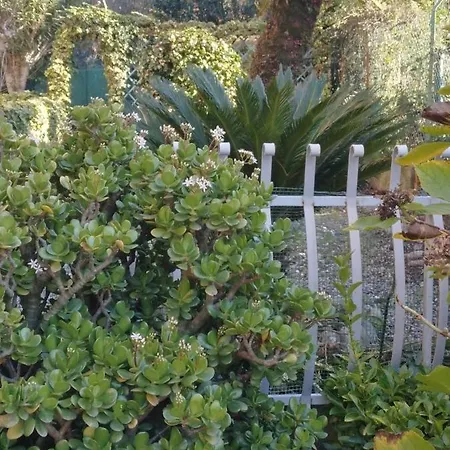Oasi Felice Apartamento Levanto