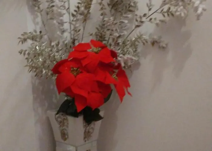 Διαμέρισμα Oasi Felice *